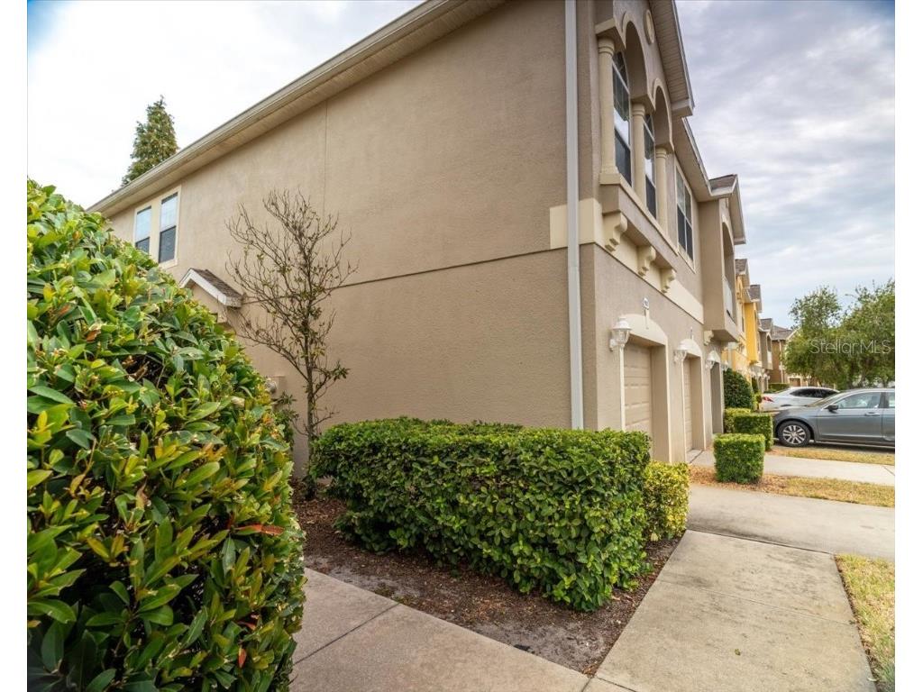 9117 Moonlit Meadows Loop Riverview FL 33578 TB8447157 image8