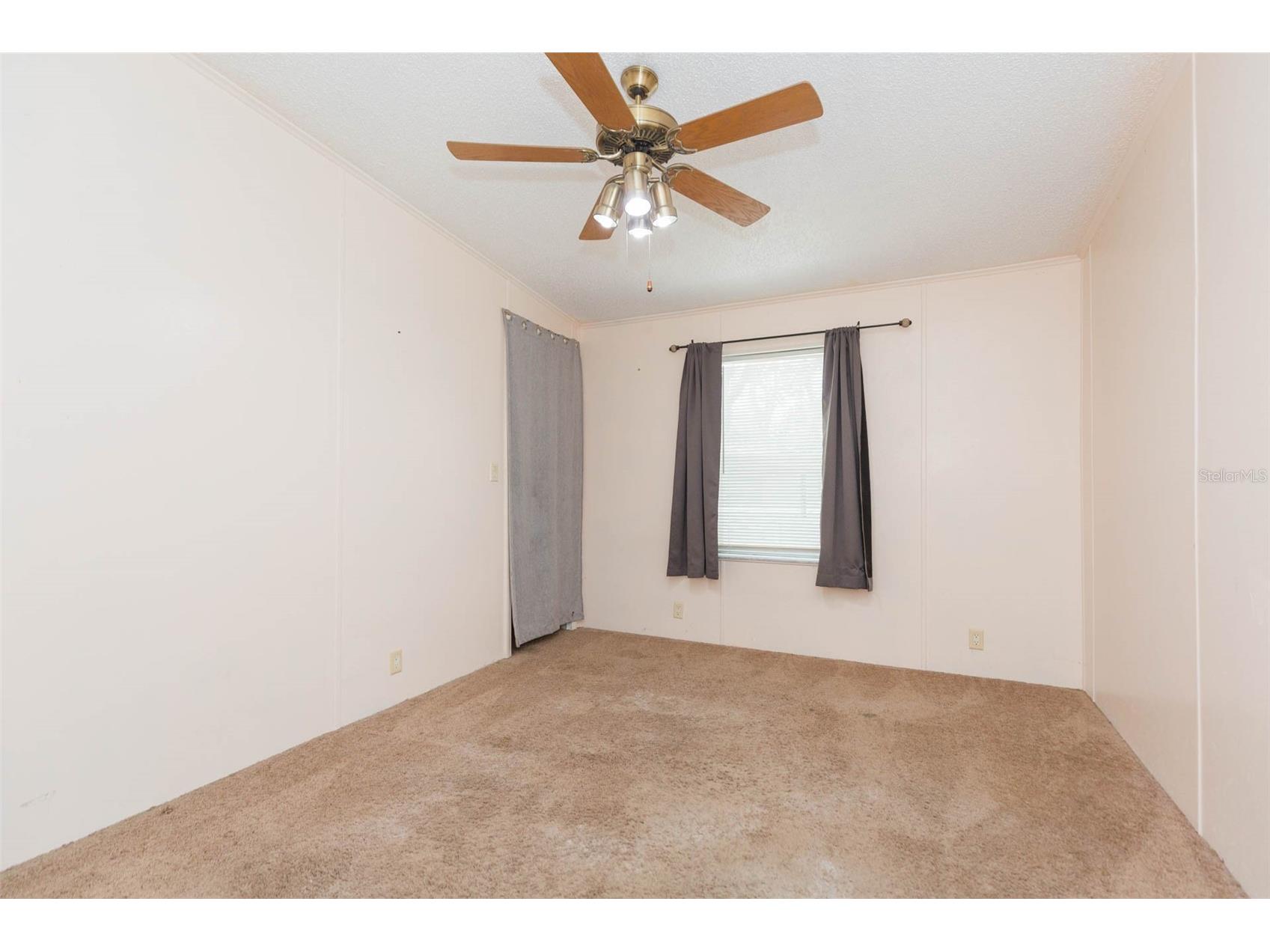 9117 Wood Terrace Drive Tampa FL 33637 TB8413707 image16