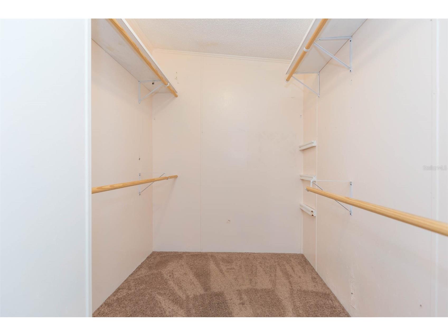 9117 Wood Terrace Drive Tampa FL 33637 TB8413707 image24