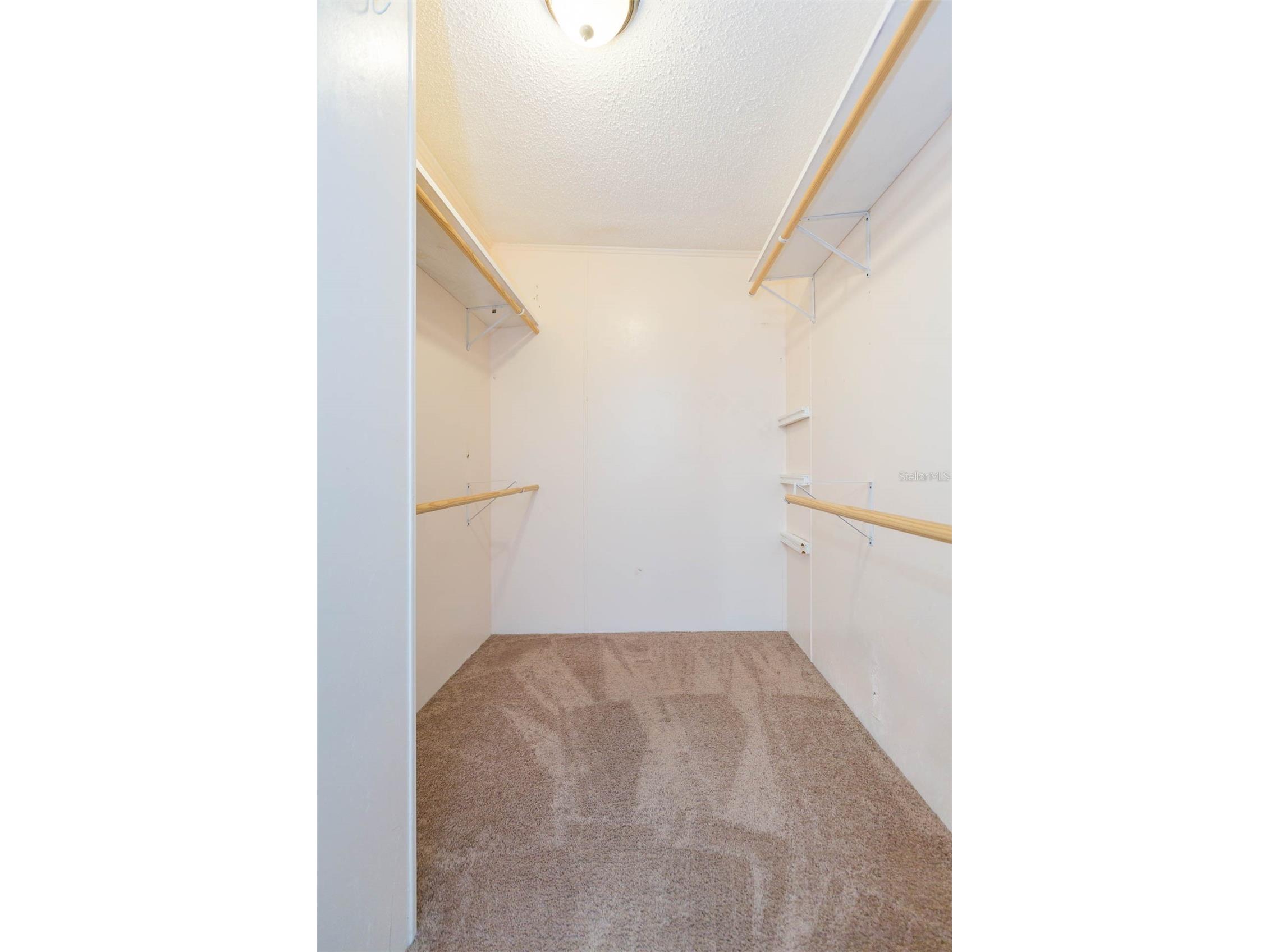 9117 Wood Terrace Drive Tampa FL 33637 TB8413707 image27