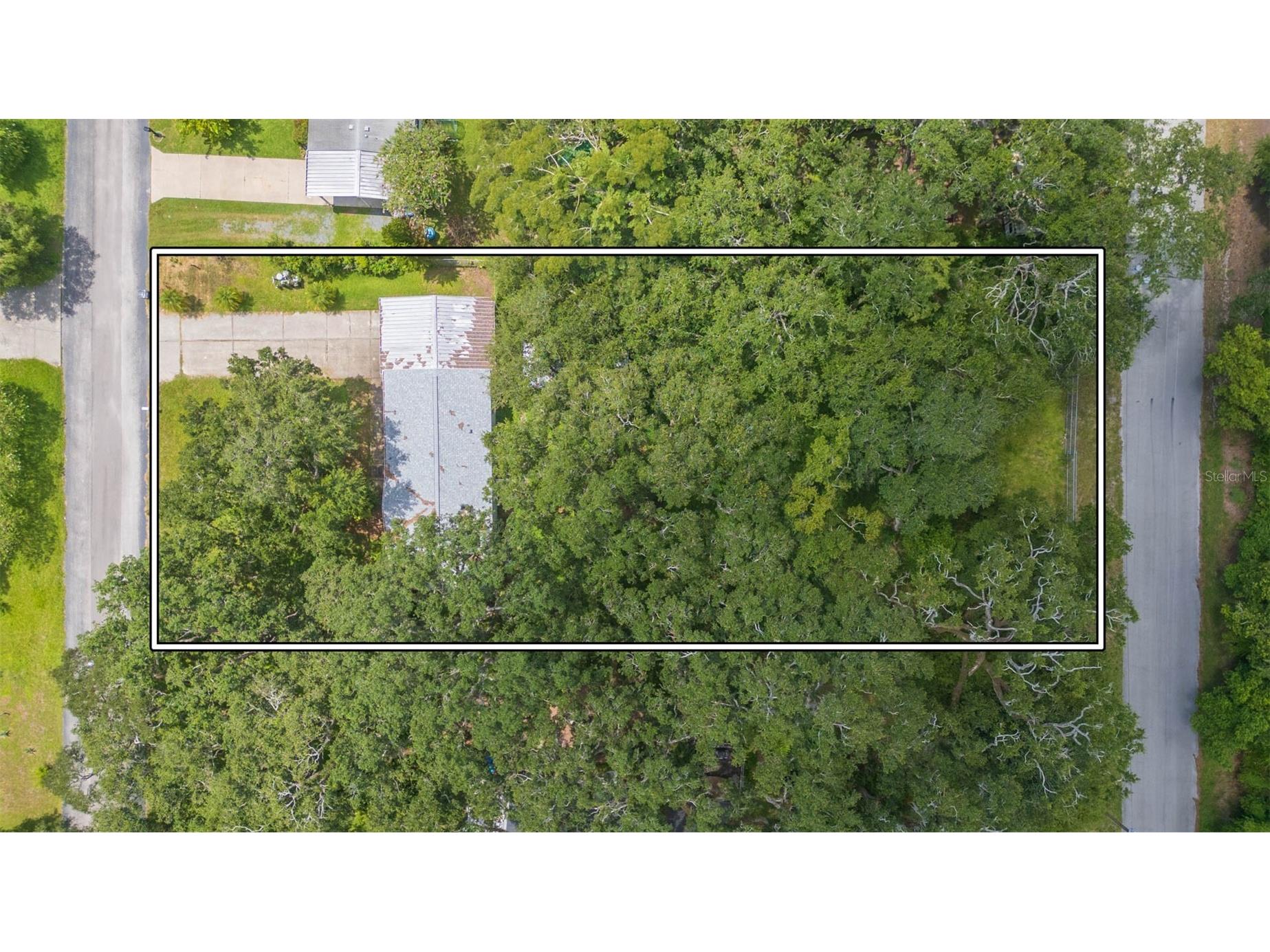 9117 Wood Terrace Drive Tampa FL 33637 TB8413707 image30