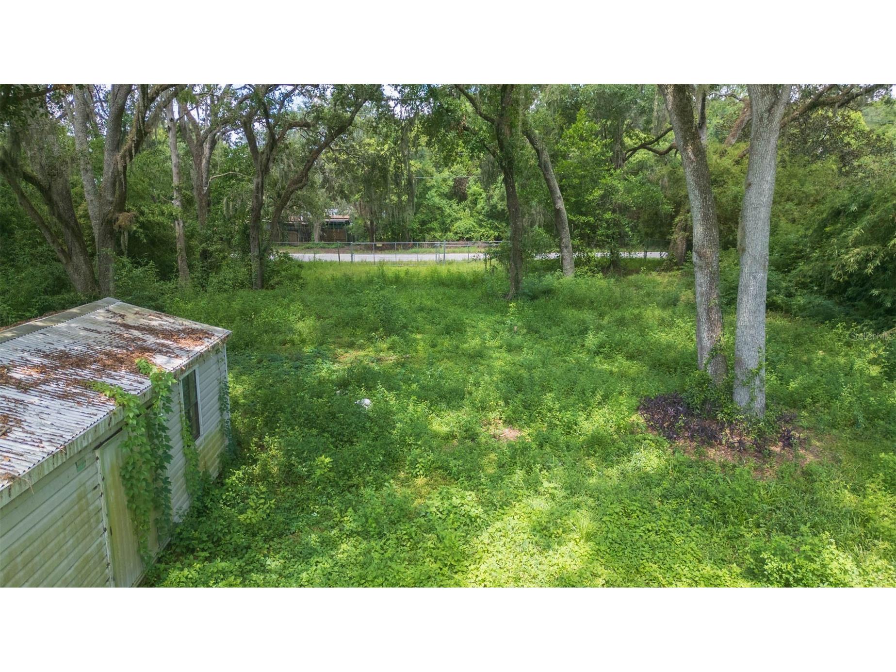 9117 Wood Terrace Drive Tampa FL 33637 TB8413707 image39