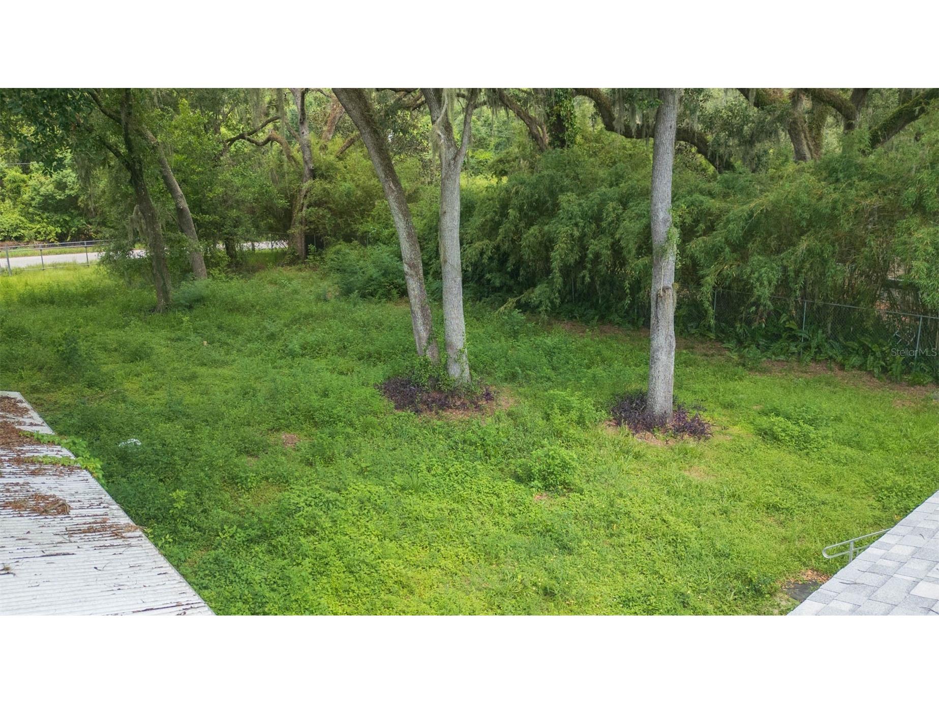 9117 Wood Terrace Drive Tampa FL 33637 TB8413707 image40