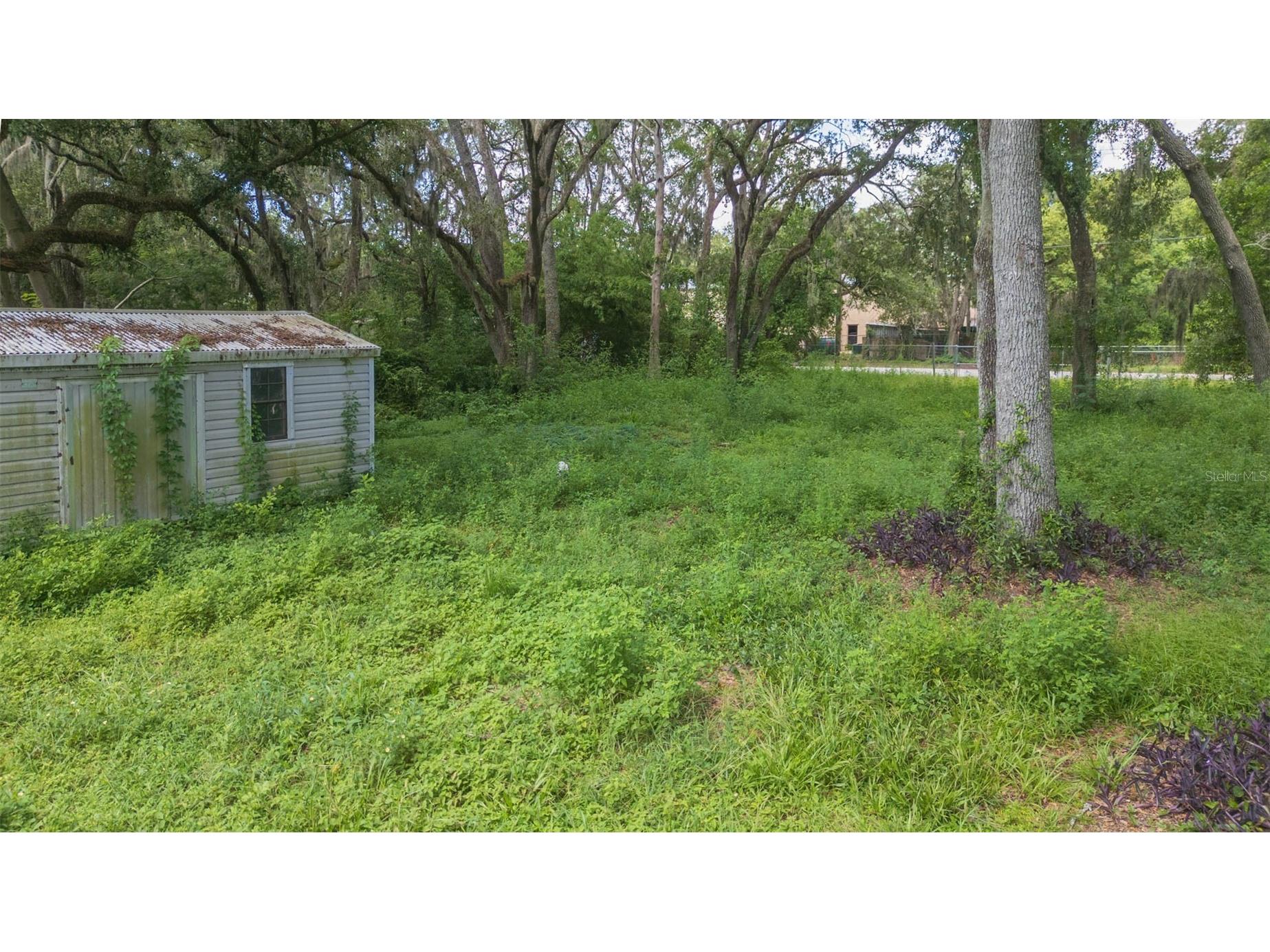 9117 Wood Terrace Drive Tampa FL 33637 TB8413707 image41