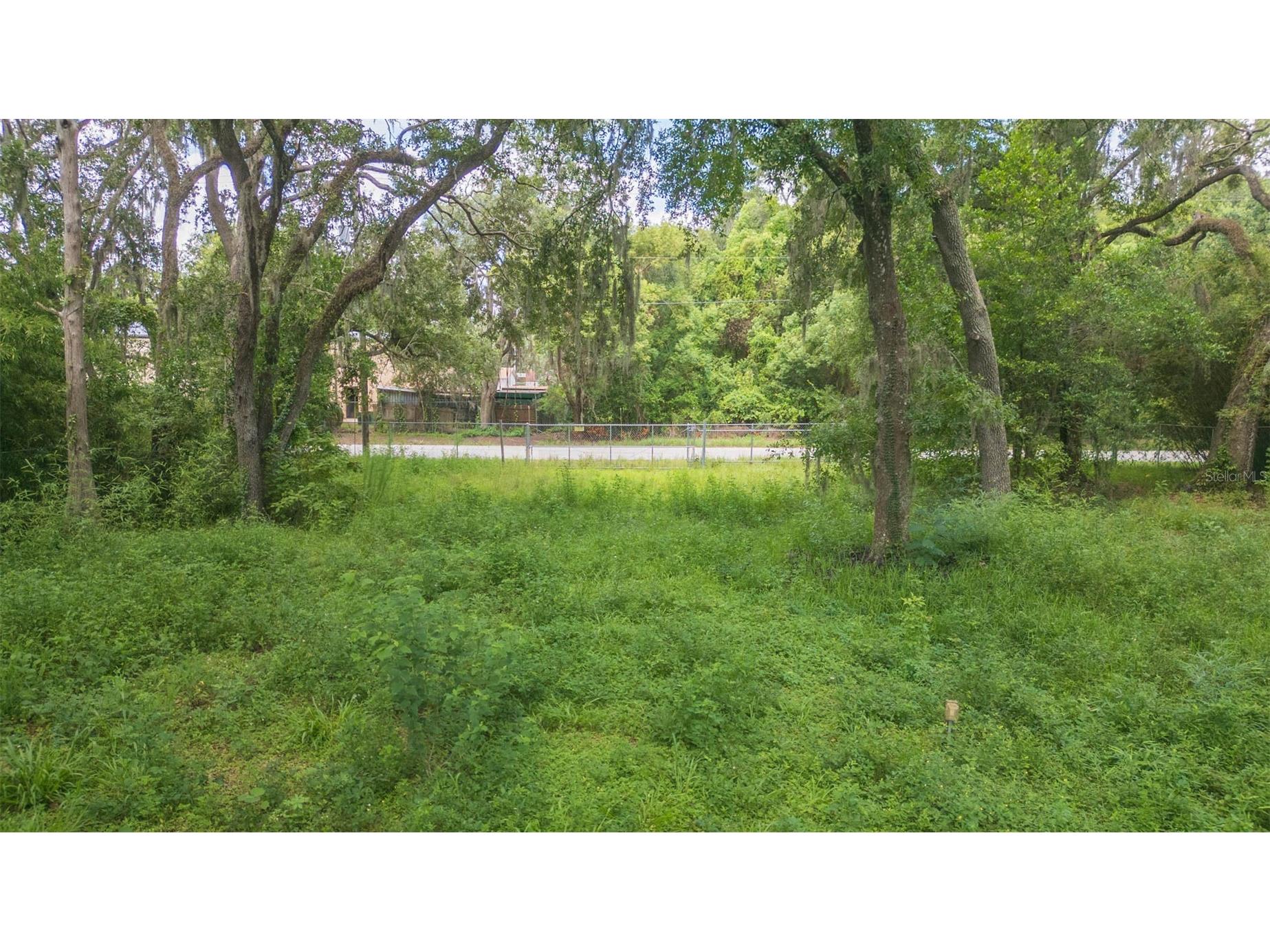 9117 Wood Terrace Drive Tampa FL 33637 TB8413707 image42