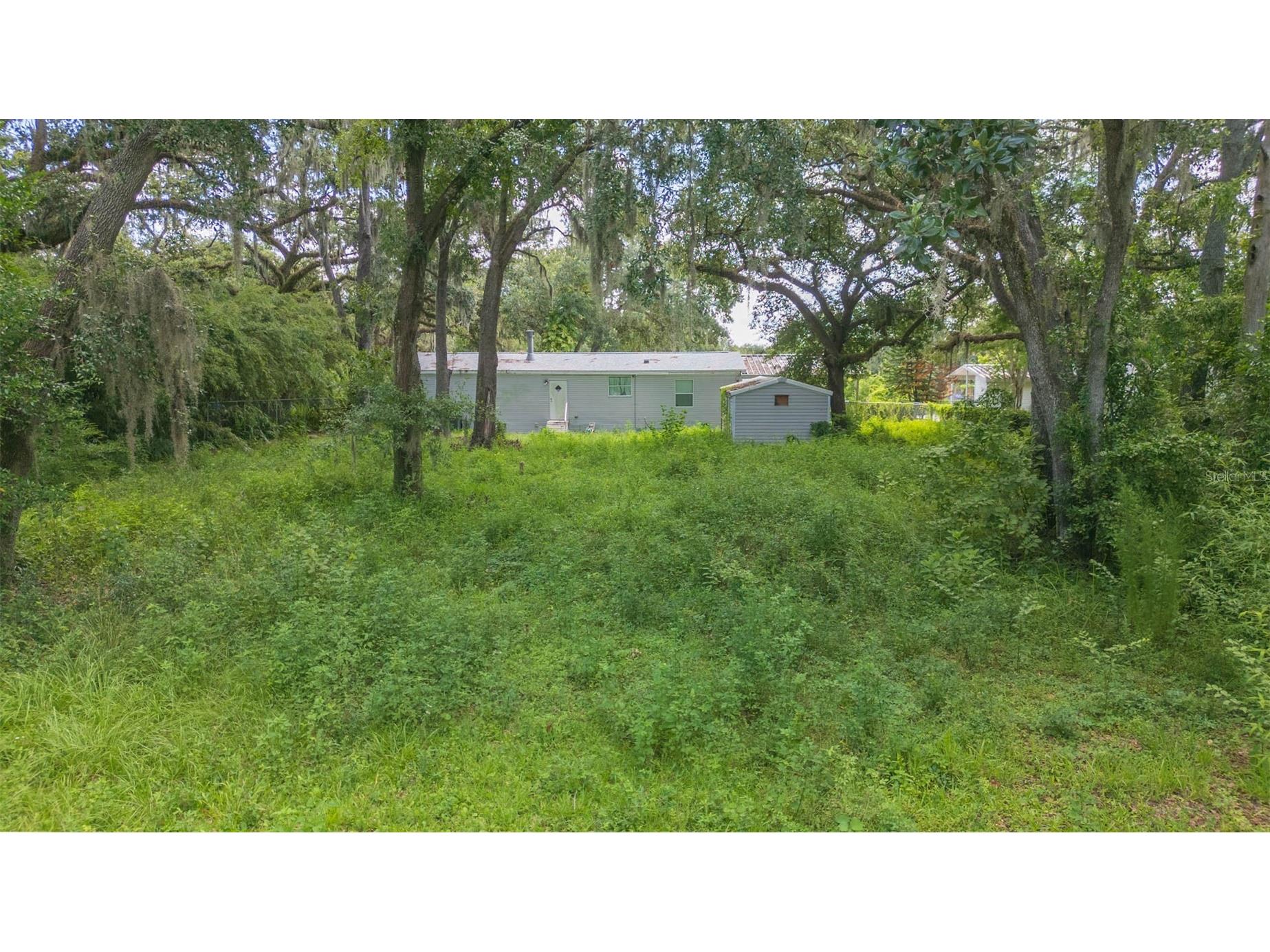 9117 Wood Terrace Drive Tampa FL 33637 TB8413707 image43