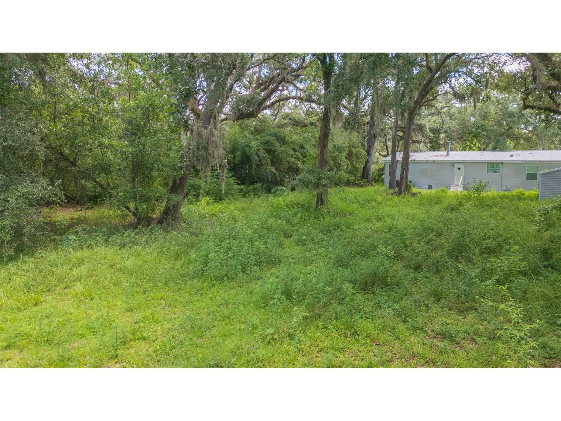 9117 Wood Terrace Drive Tampa FL 33637 TB8413707 image44