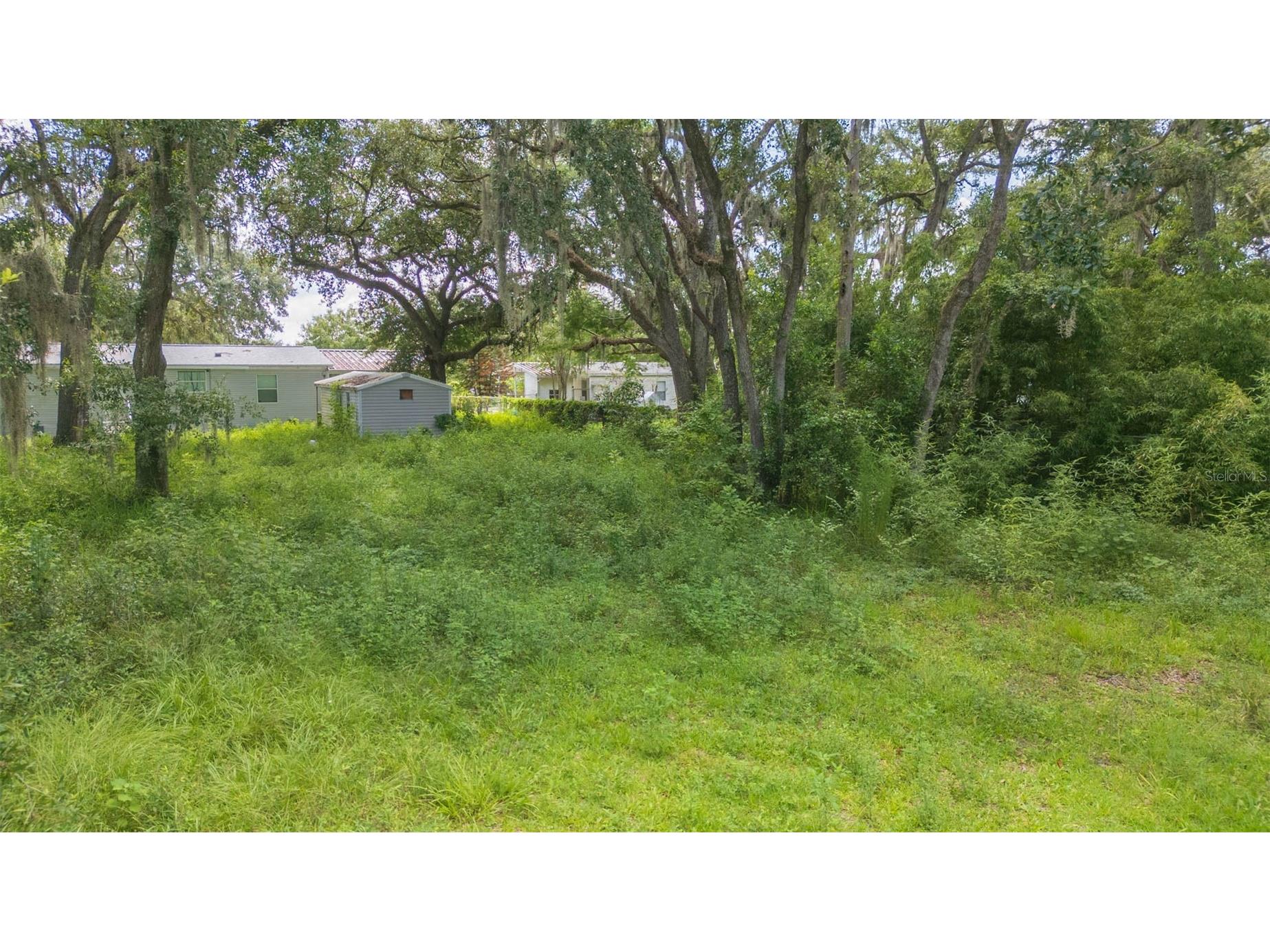 9117 Wood Terrace Drive Tampa FL 33637 TB8413707 image45