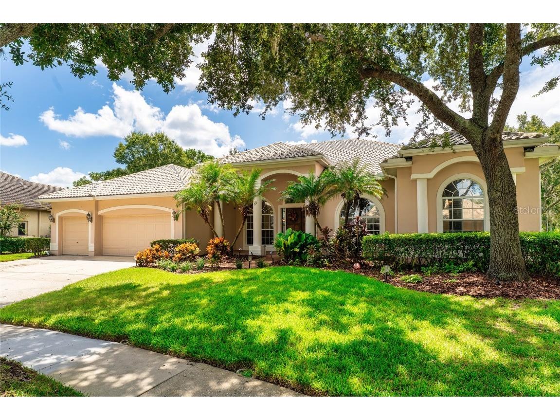 9117 Woodridge Run Drive Tampa FL 33647 TB8421554 image1