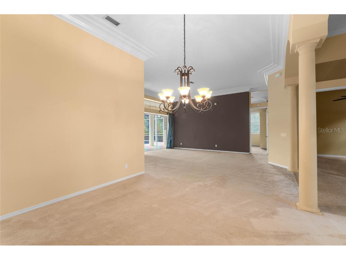 9117 Woodridge Run Drive Tampa FL 33647 TB8421554 image11