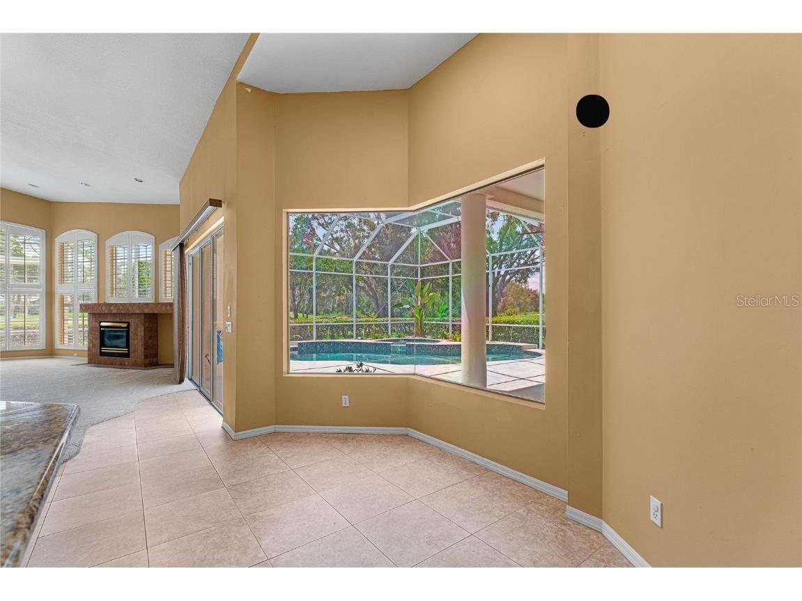 9117 Woodridge Run Drive Tampa FL 33647 TB8421554 image19