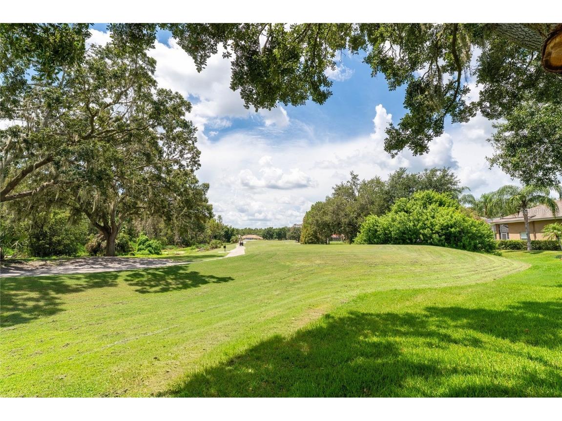 9117 Woodridge Run Drive Tampa FL 33647 TB8421554 image2