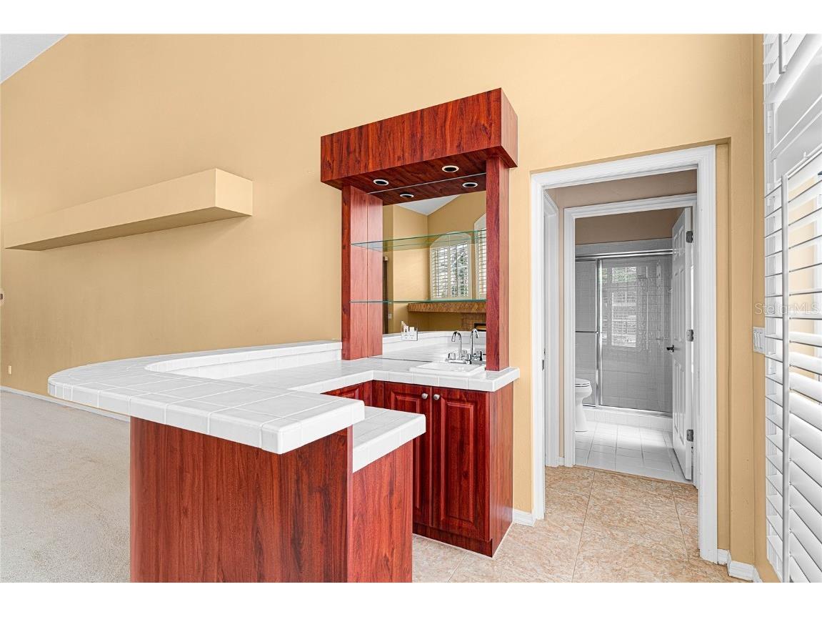 9117 Woodridge Run Drive Tampa FL 33647 TB8421554 image24