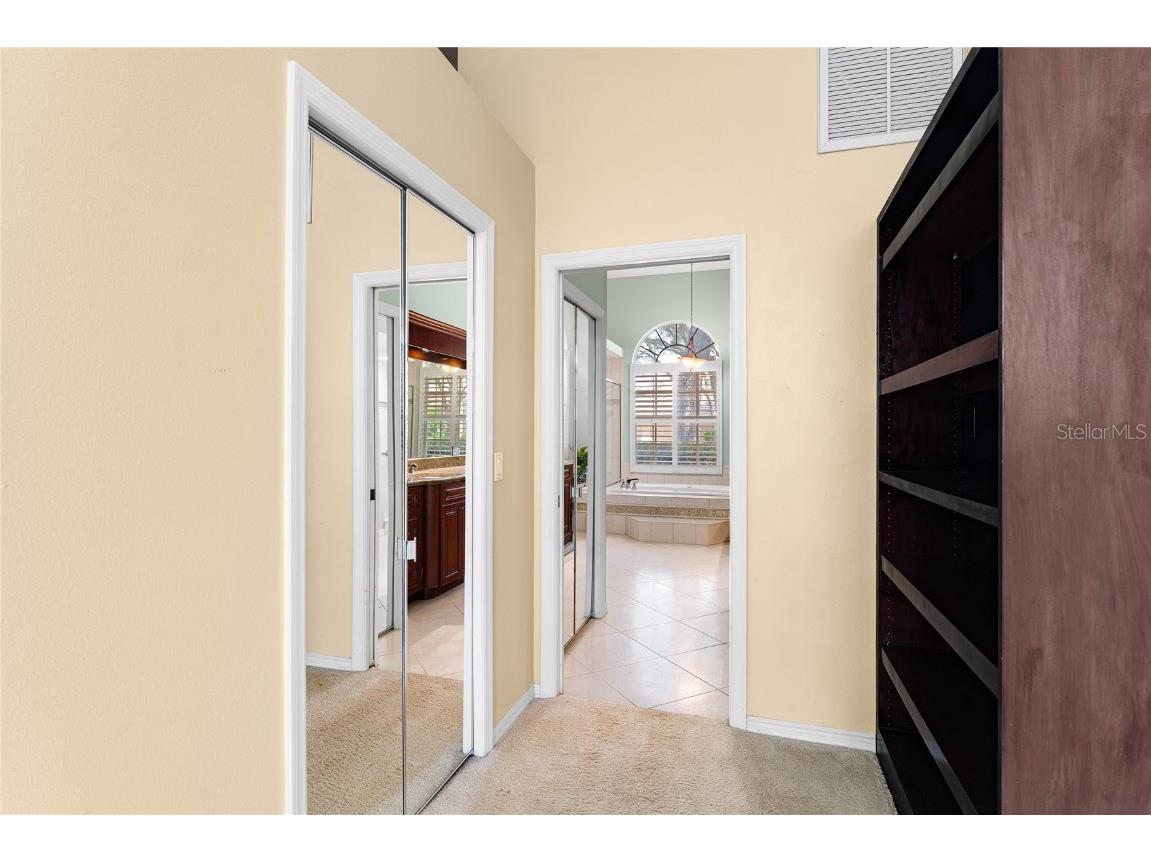 9117 Woodridge Run Drive Tampa FL 33647 TB8421554 image29