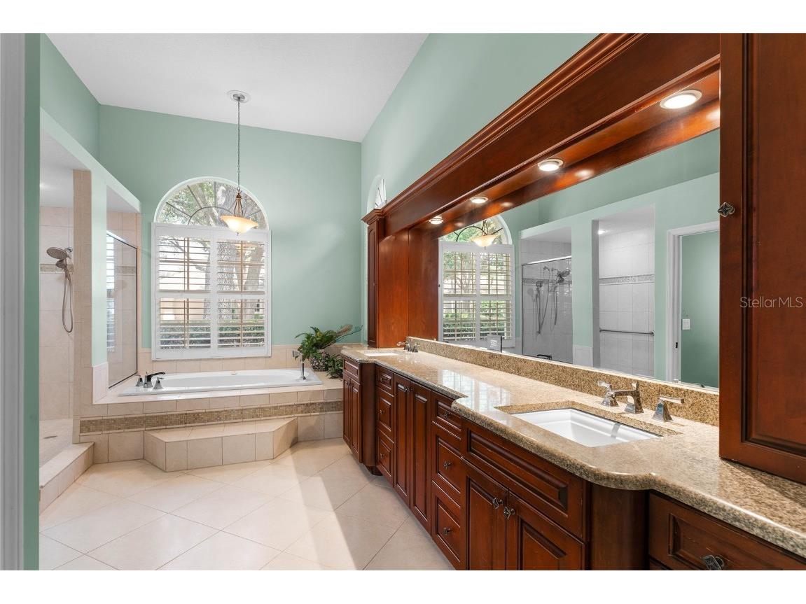 9117 Woodridge Run Drive Tampa FL 33647 TB8421554 image31