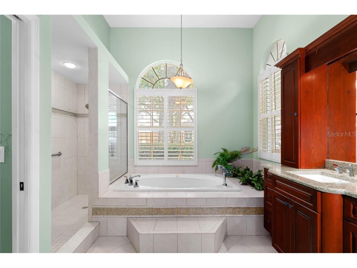 9117 Woodridge Run Drive Tampa FL 33647 TB8421554 image32