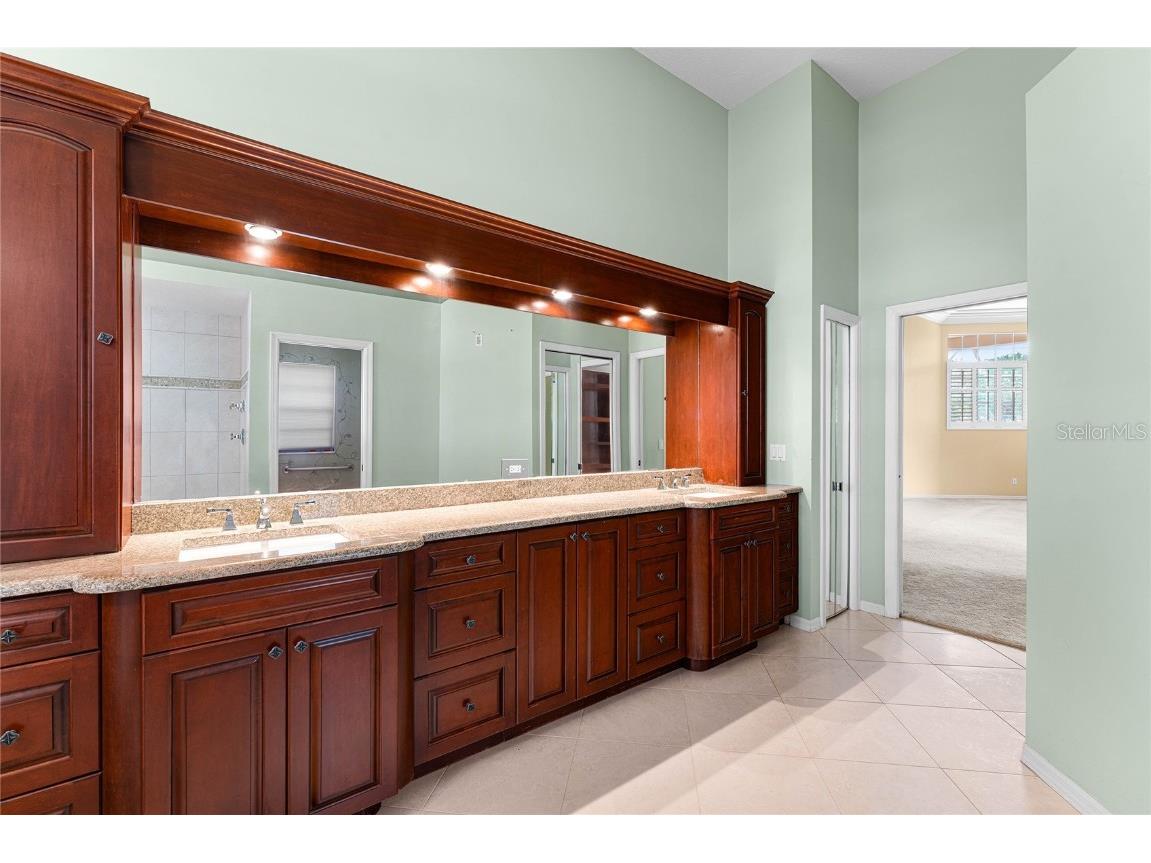 9117 Woodridge Run Drive Tampa FL 33647 TB8421554 image34