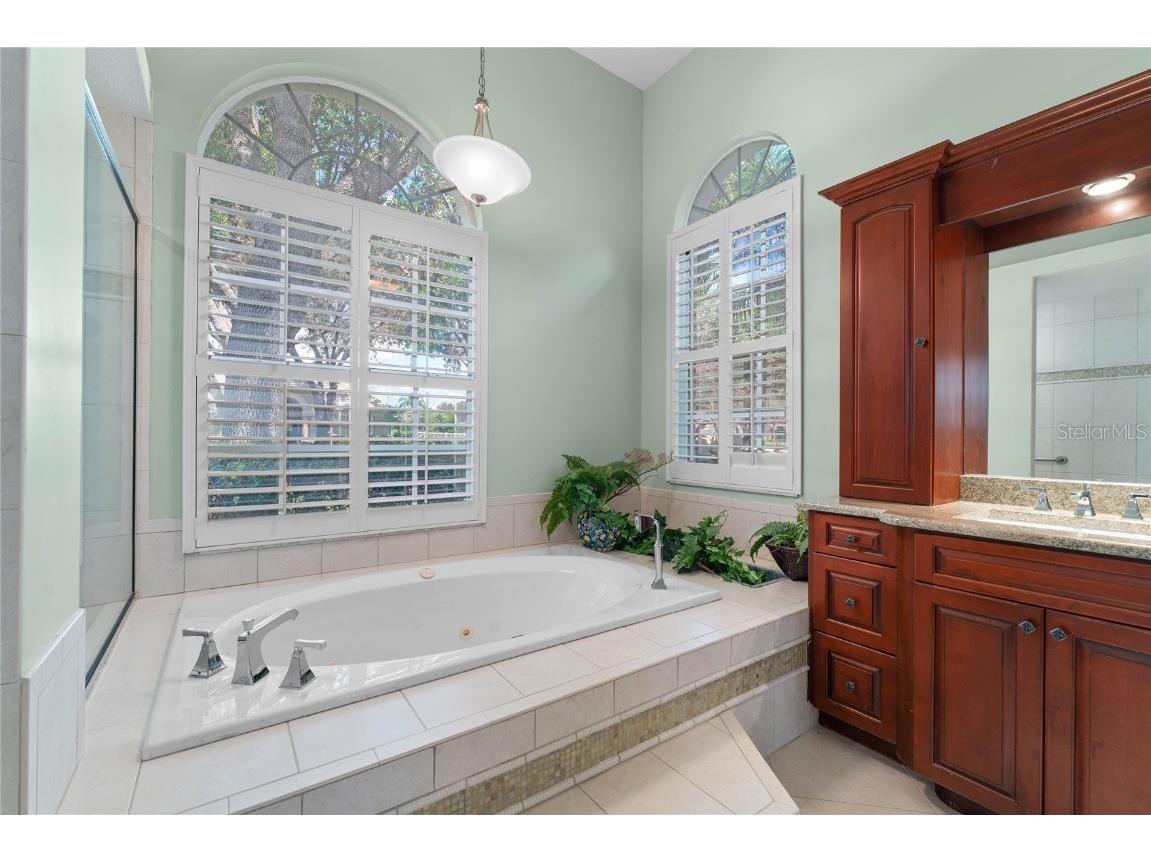 9117 Woodridge Run Drive Tampa FL 33647 TB8421554 image35