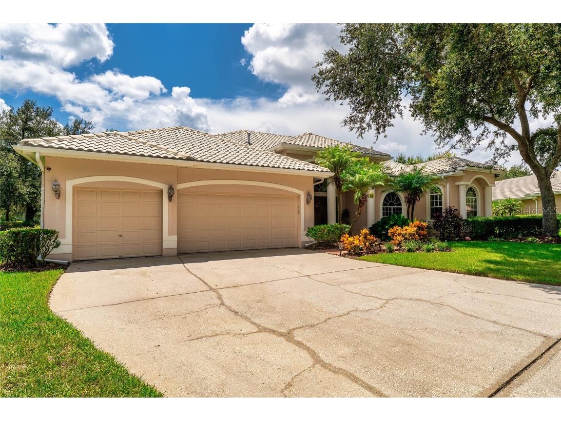 9117 Woodridge Run Drive Tampa FL 33647 TB8421554 image4