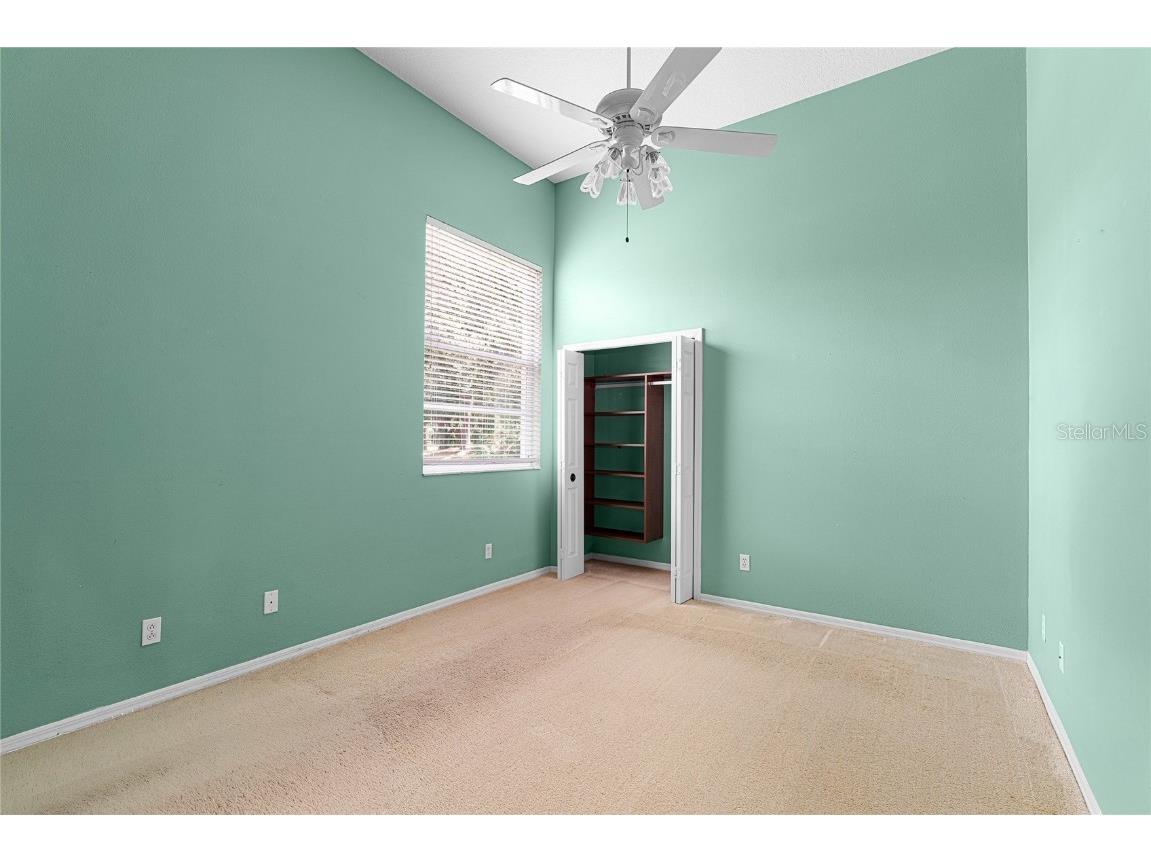 9117 Woodridge Run Drive Tampa FL 33647 TB8421554 image40