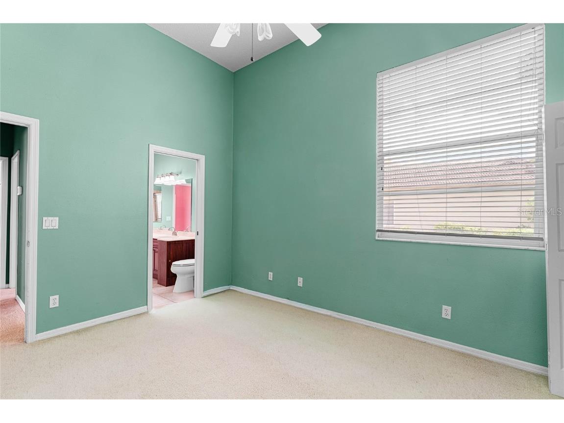 9117 Woodridge Run Drive Tampa FL 33647 TB8421554 image41