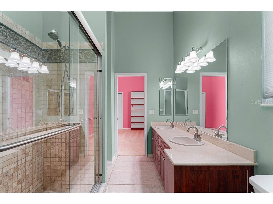 9117 Woodridge Run Drive Tampa FL 33647 TB8421554 image42