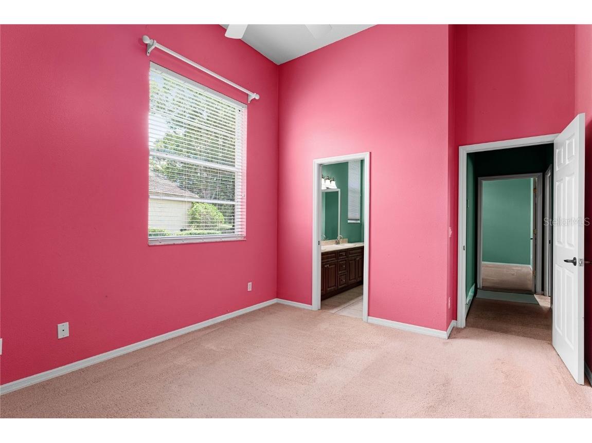 9117 Woodridge Run Drive Tampa FL 33647 TB8421554 image45