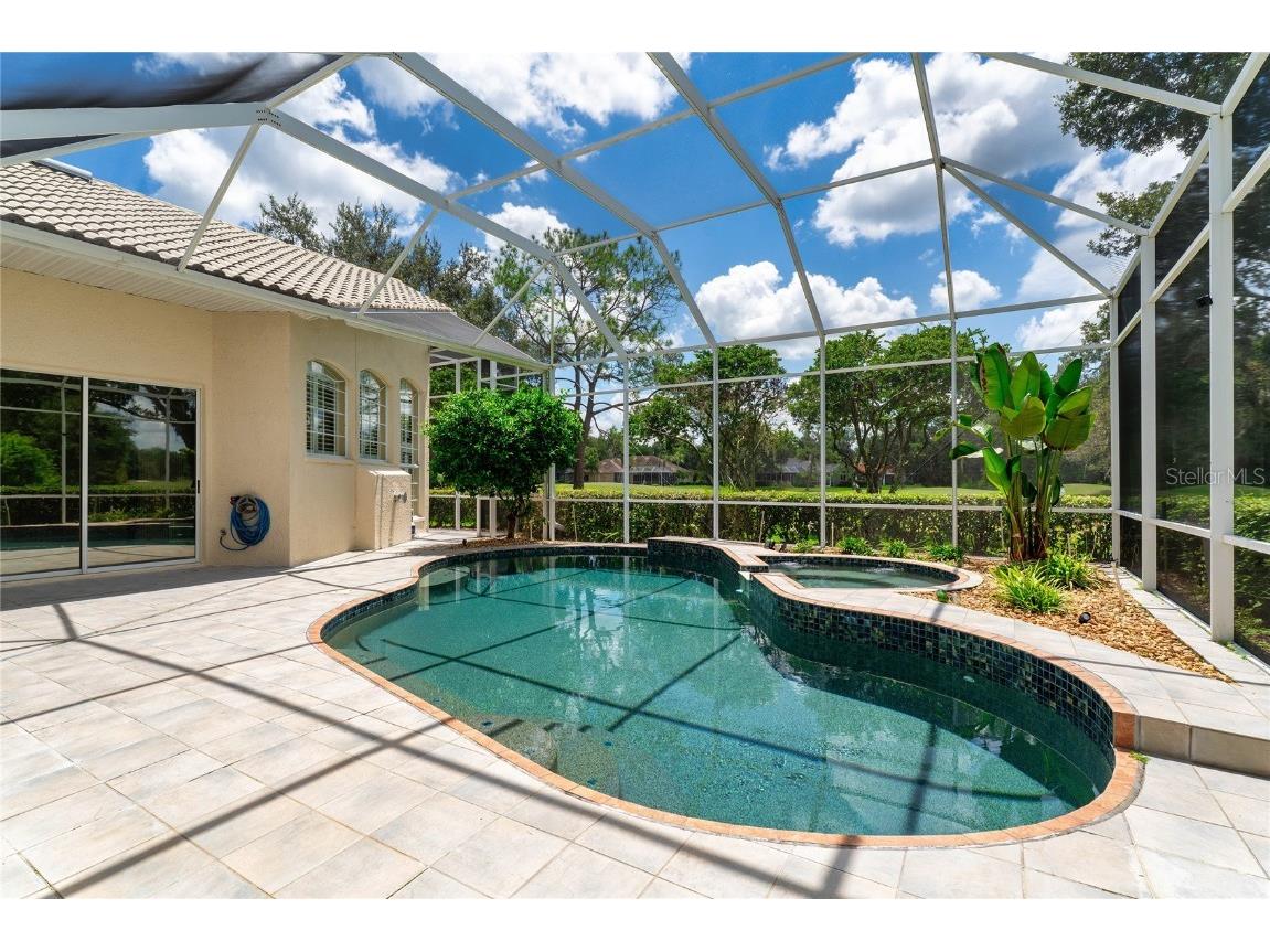 9117 Woodridge Run Drive Tampa FL 33647 TB8421554 image51