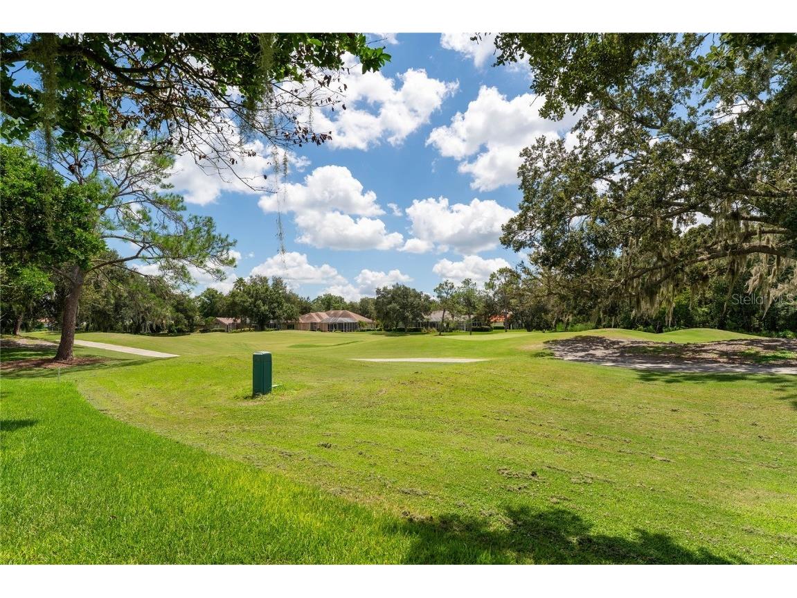 9117 Woodridge Run Drive Tampa FL 33647 TB8421554 image54