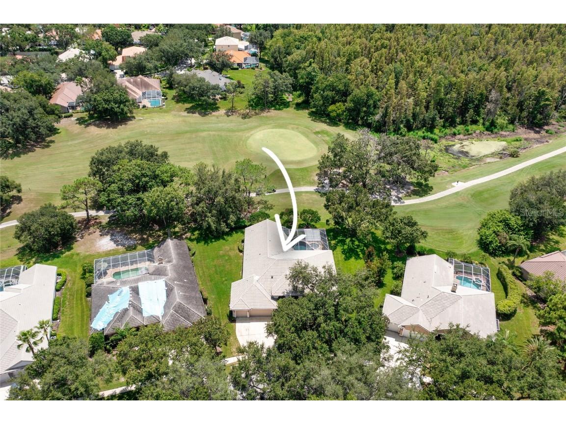 9117 Woodridge Run Drive Tampa FL 33647 TB8421554 image55