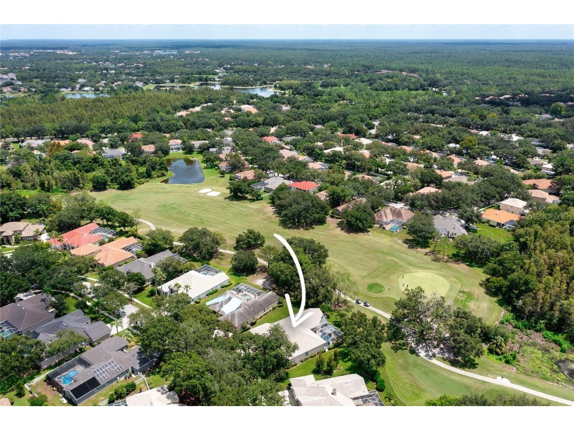 9117 Woodridge Run Drive Tampa FL 33647 TB8421554 image56