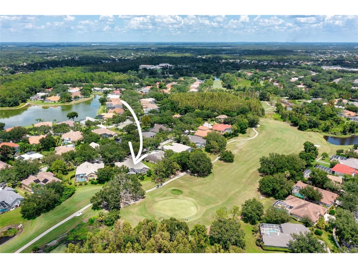 9117 Woodridge Run Drive Tampa FL 33647 TB8421554 image57