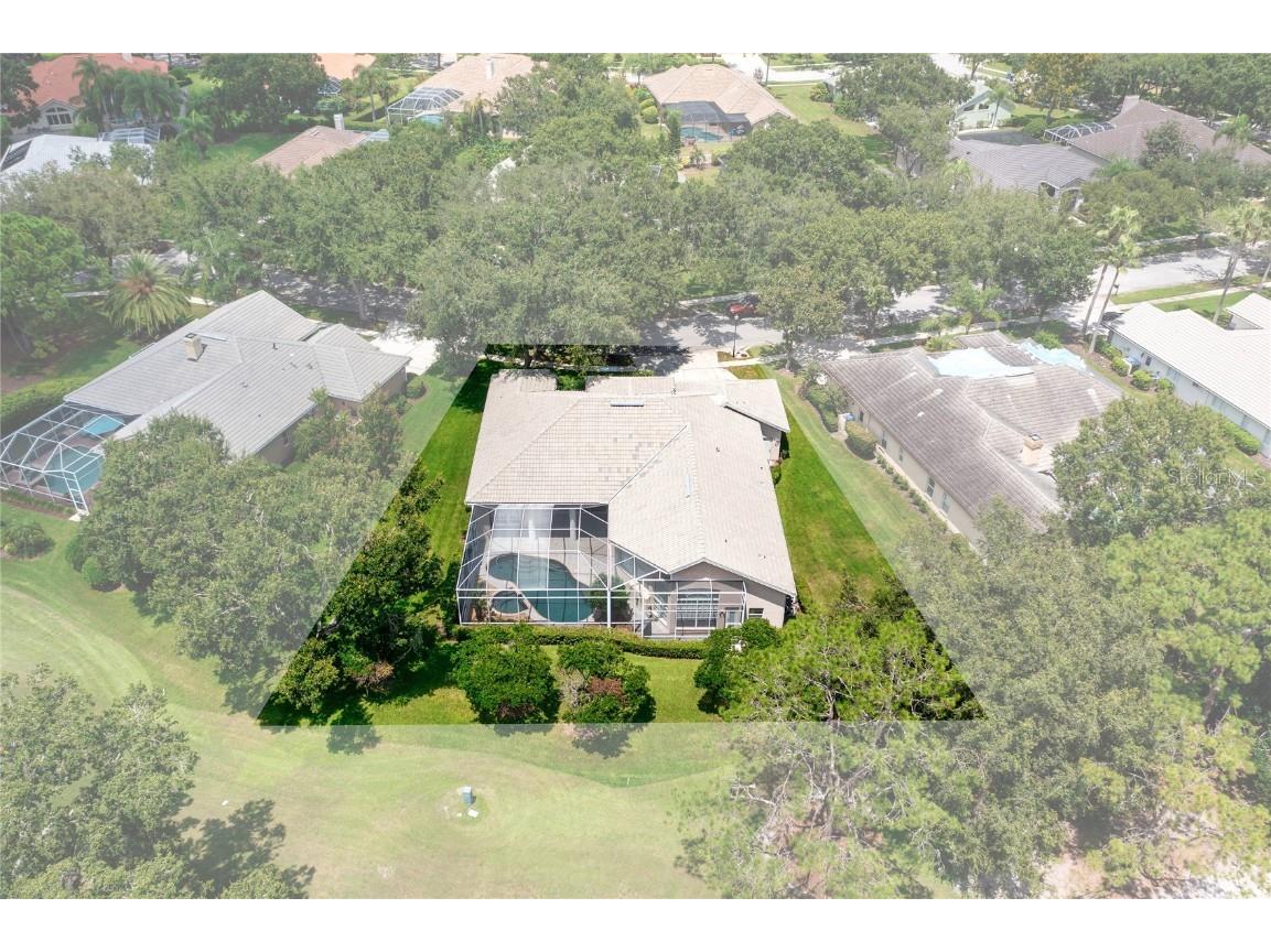 9117 Woodridge Run Drive Tampa FL 33647 TB8421554 image58