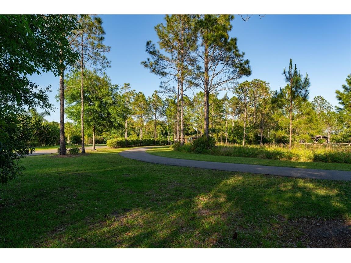 9117 Woodridge Run Drive Tampa FL 33647 TB8421554 image59