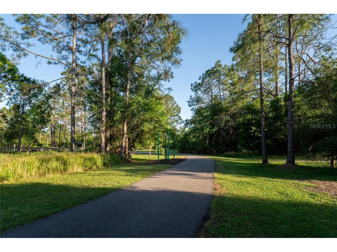 9117 Woodridge Run Drive Tampa FL 33647 TB8421554 image60