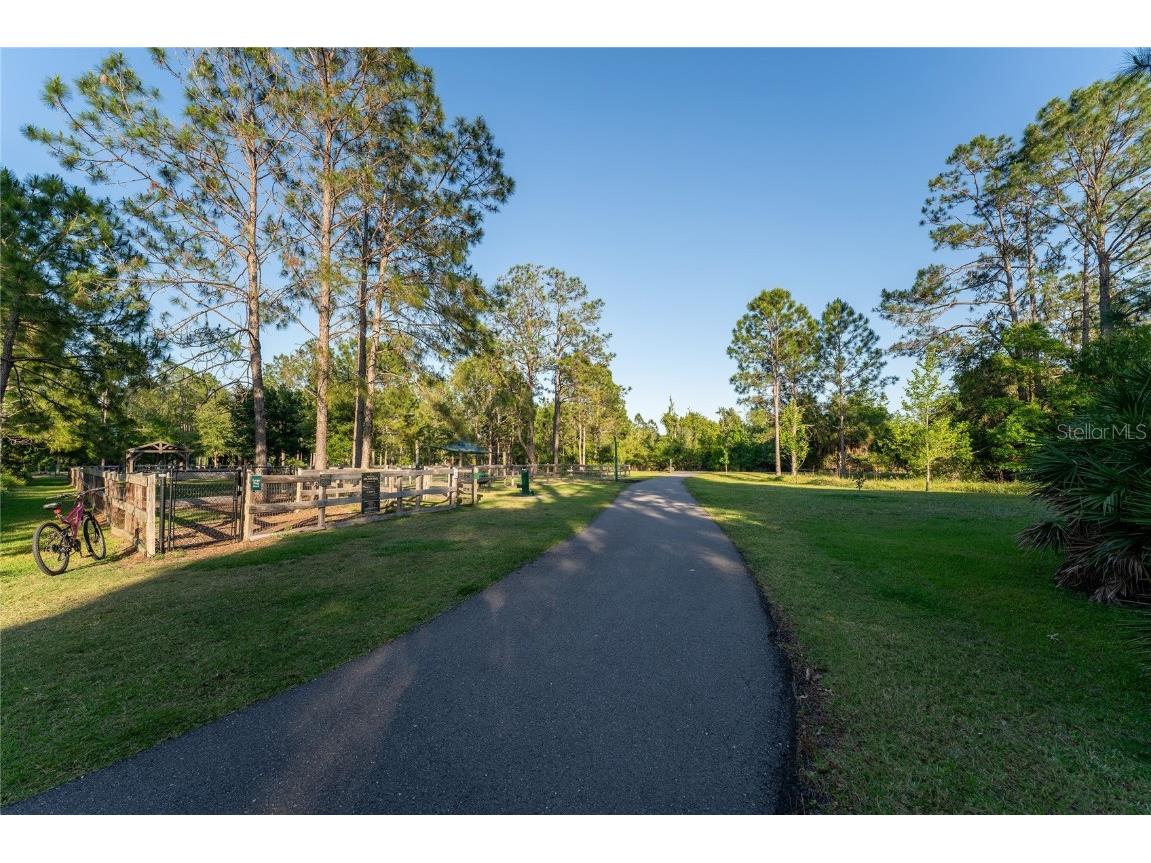 9117 Woodridge Run Drive Tampa FL 33647 TB8421554 image61