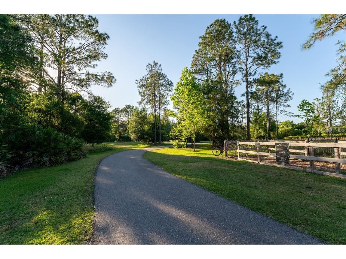 9117 Woodridge Run Drive Tampa FL 33647 TB8421554 image62