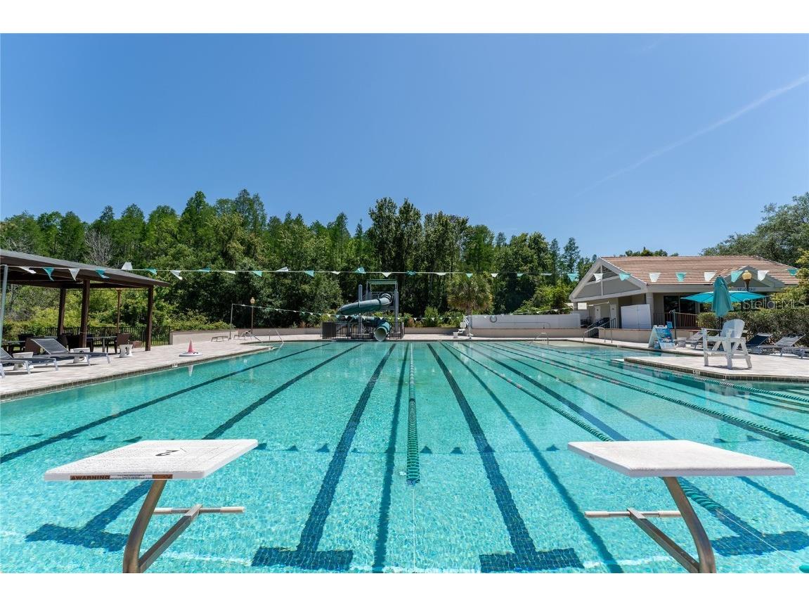 9117 Woodridge Run Drive Tampa FL 33647 TB8421554 image63