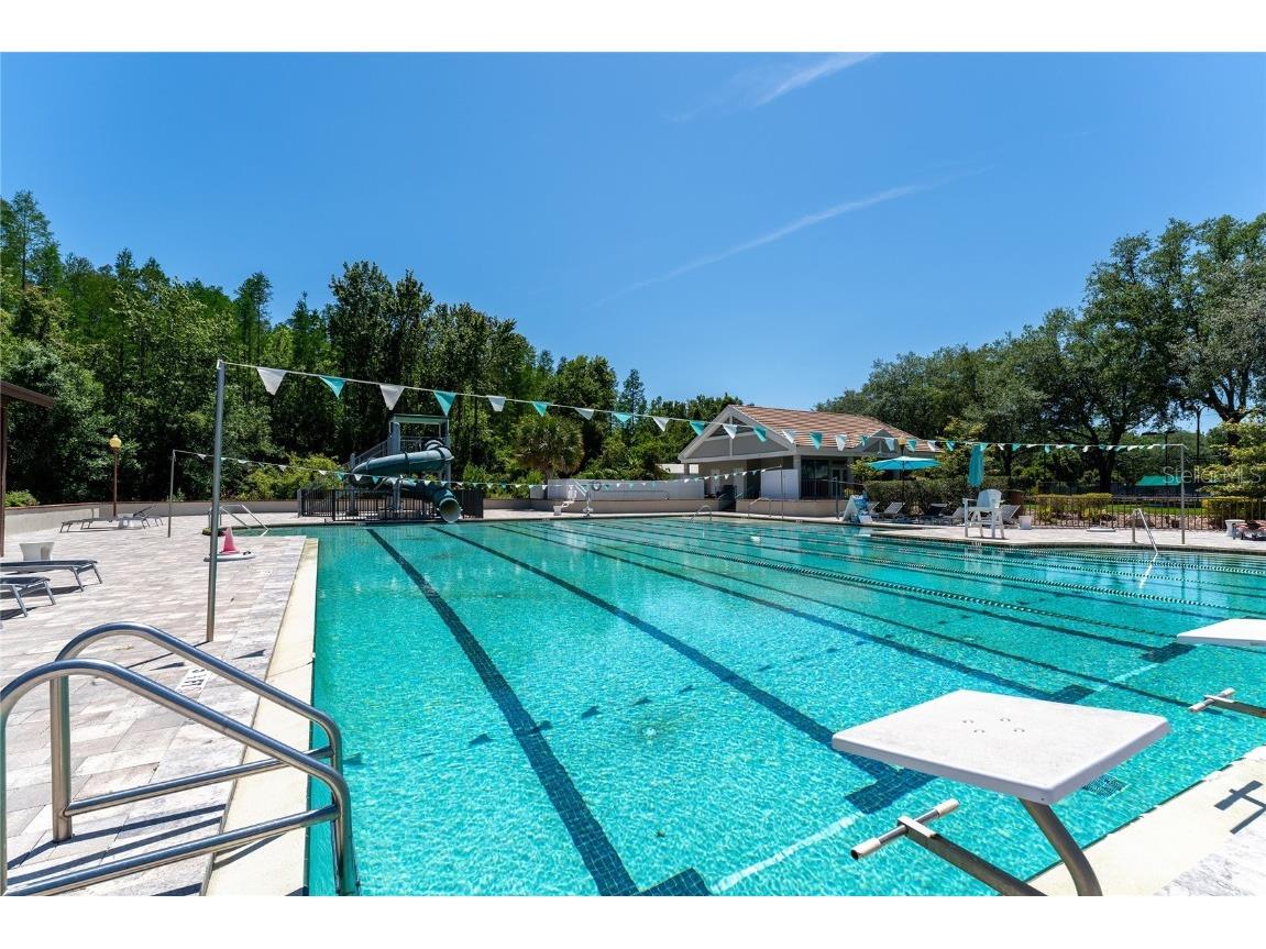 9117 Woodridge Run Drive Tampa FL 33647 TB8421554 image64