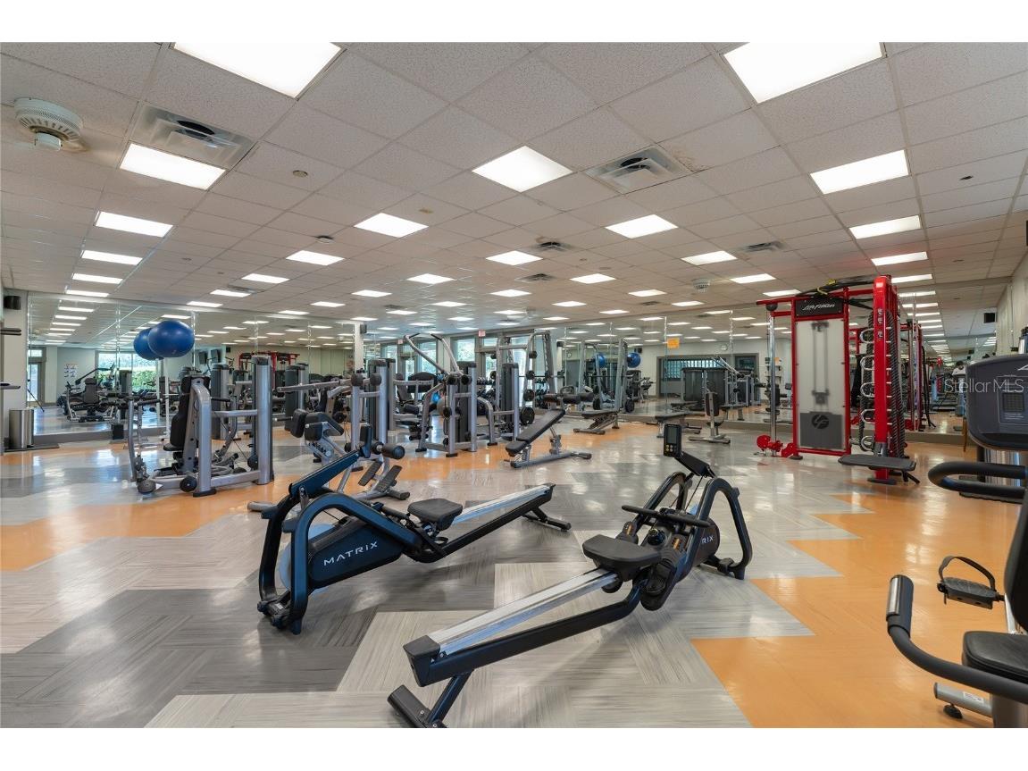 9117 Woodridge Run Drive Tampa FL 33647 TB8421554 image65