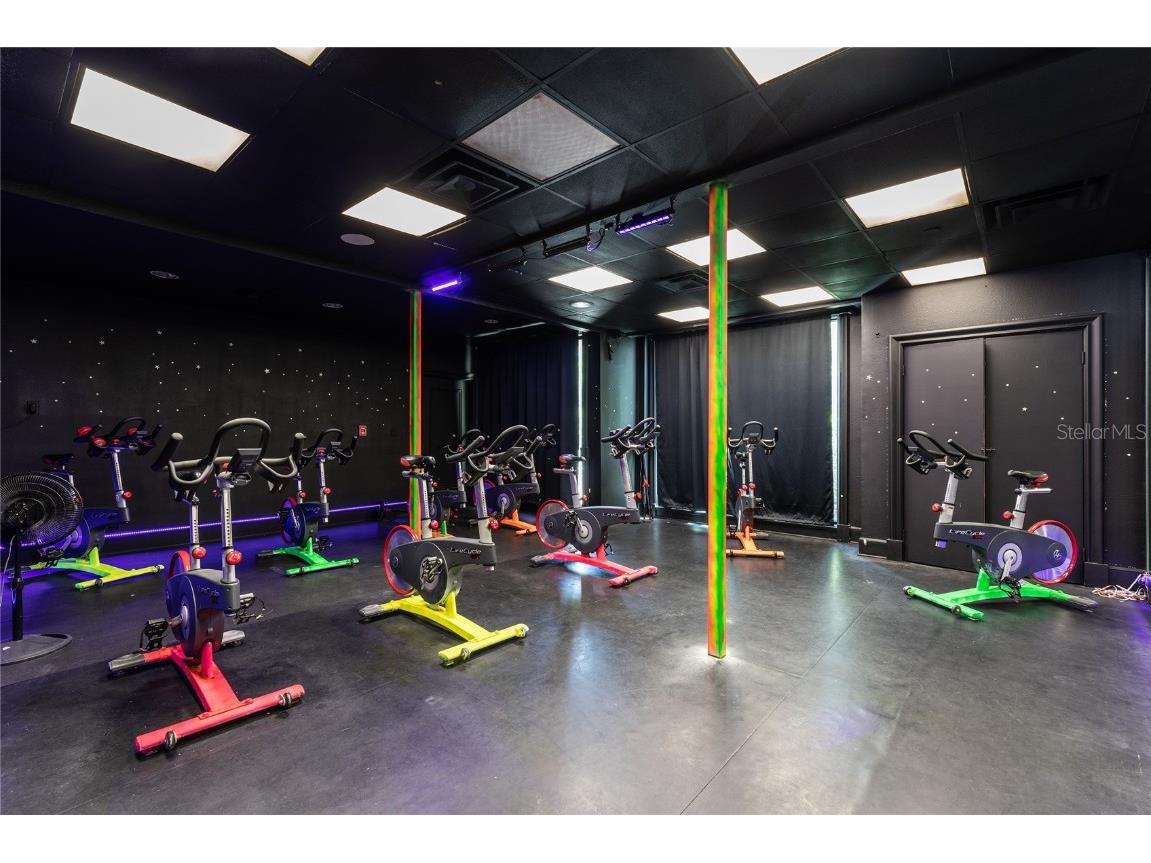 9117 Woodridge Run Drive Tampa FL 33647 TB8421554 image66