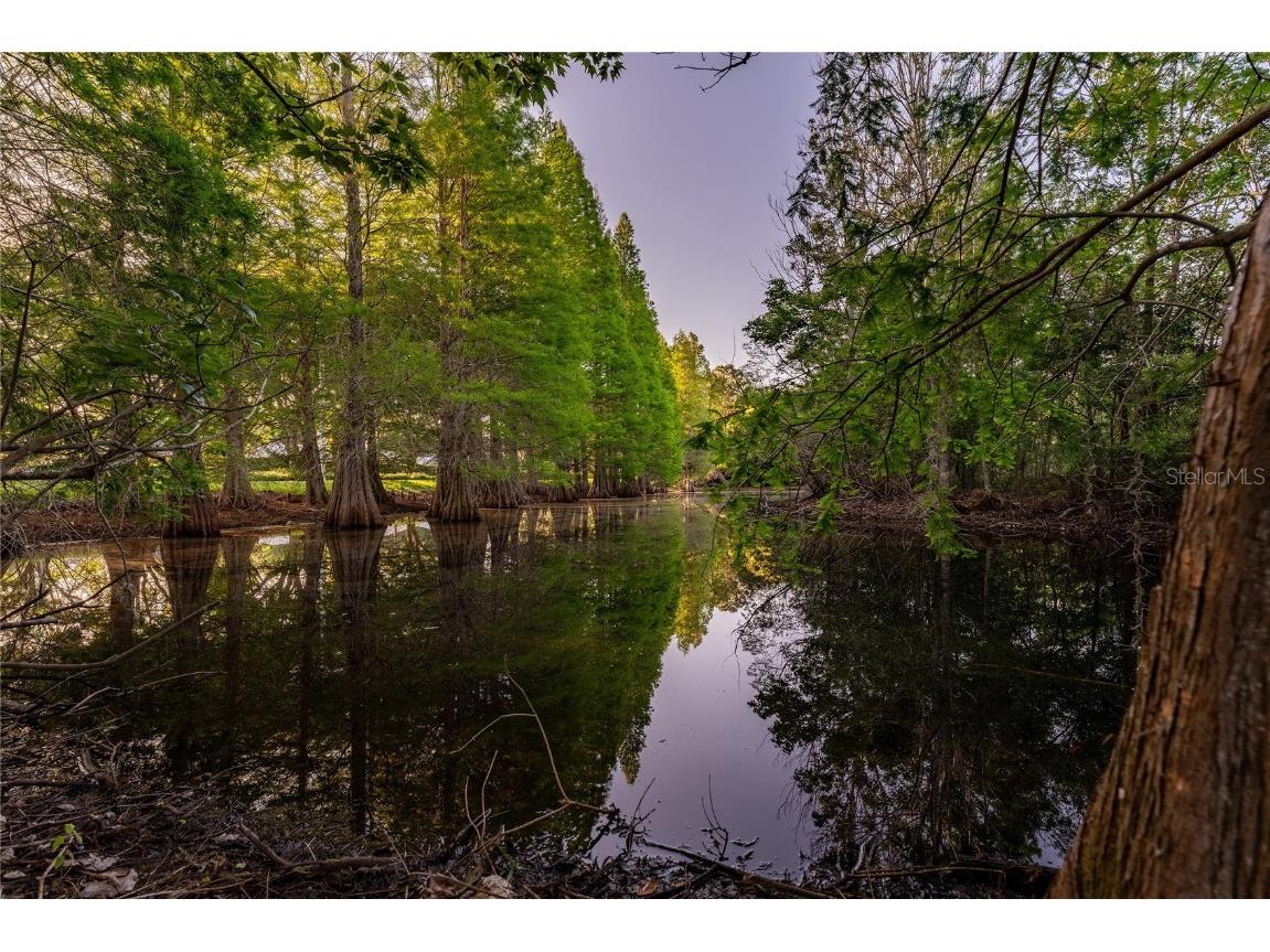 9117 Woodridge Run Drive Tampa FL 33647 TB8421554 image67