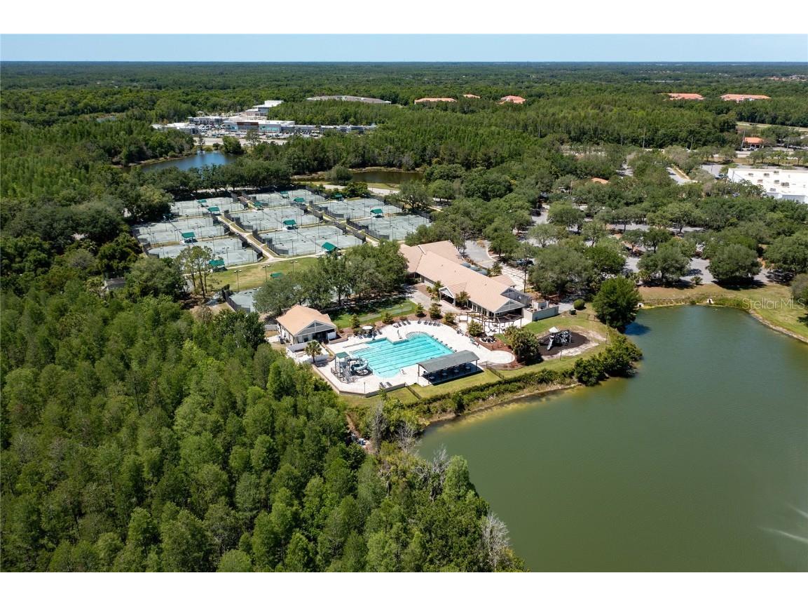 9117 Woodridge Run Drive Tampa FL 33647 TB8421554 image68