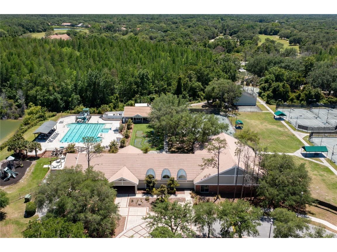 9117 Woodridge Run Drive Tampa FL 33647 TB8421554 image69