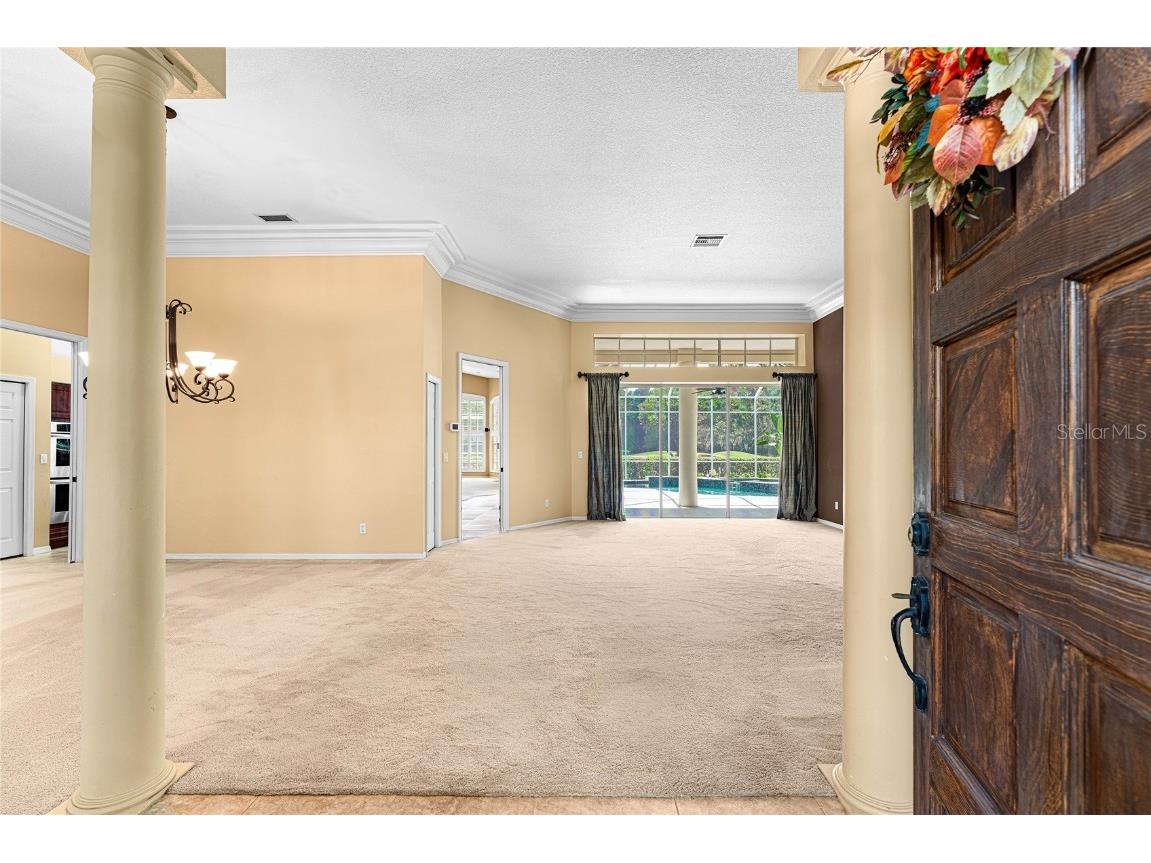 9117 Woodridge Run Drive Tampa FL 33647 TB8421554 image7