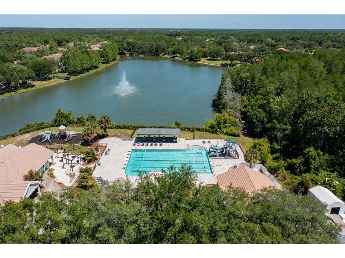 9117 Woodridge Run Drive Tampa FL 33647 TB8421554 image72