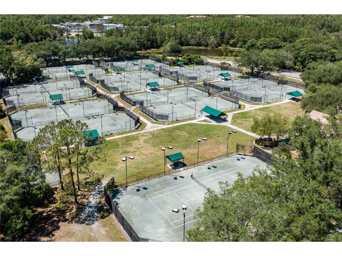 9117 Woodridge Run Drive Tampa FL 33647 TB8421554 image74