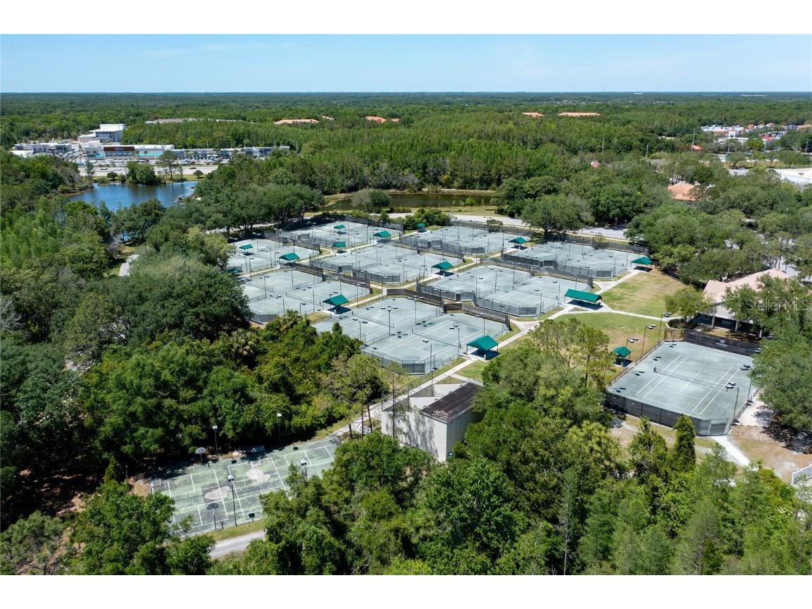 9117 Woodridge Run Drive Tampa FL 33647 TB8421554 image75