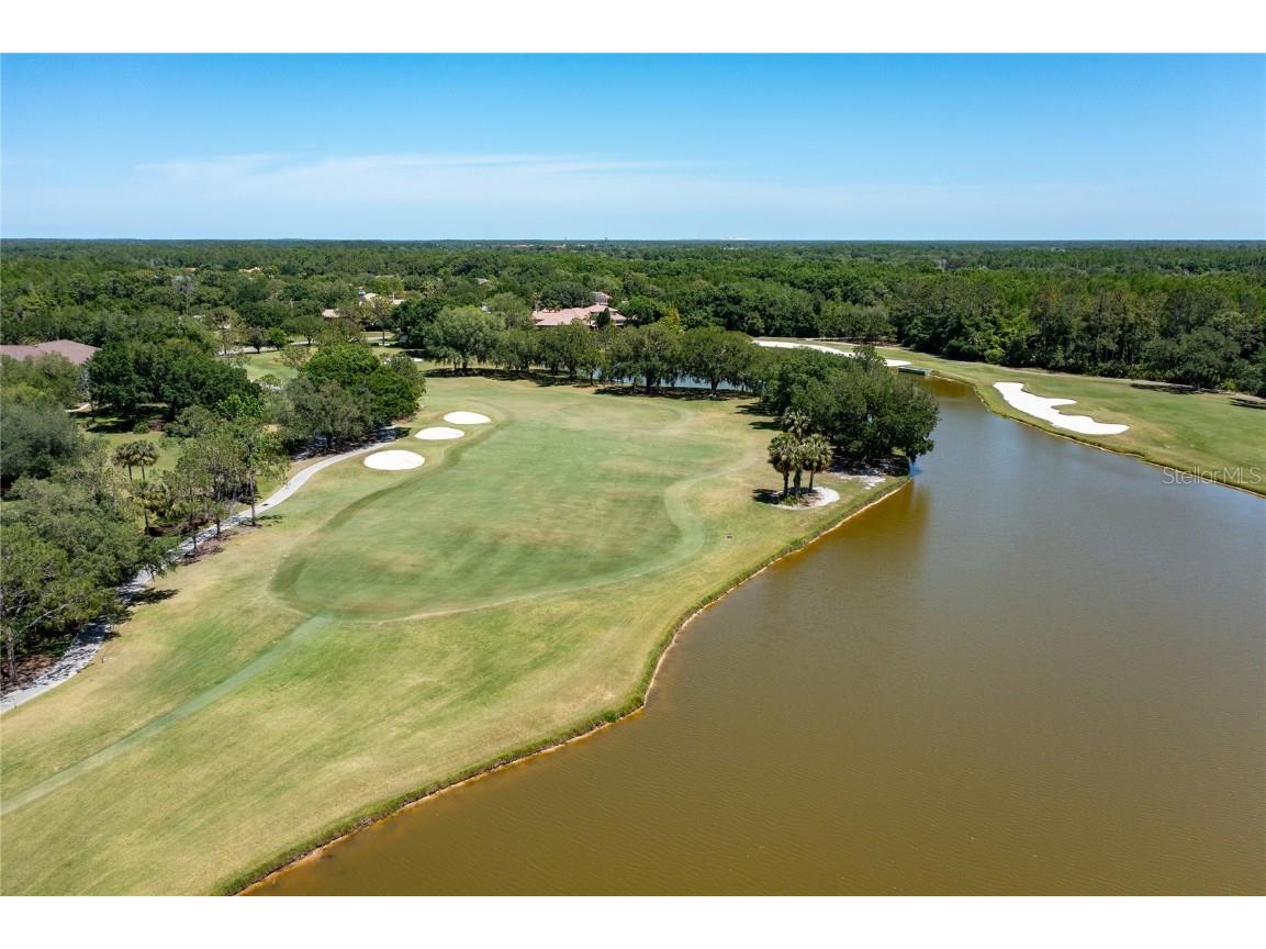 9117 Woodridge Run Drive Tampa FL 33647 TB8421554 image76