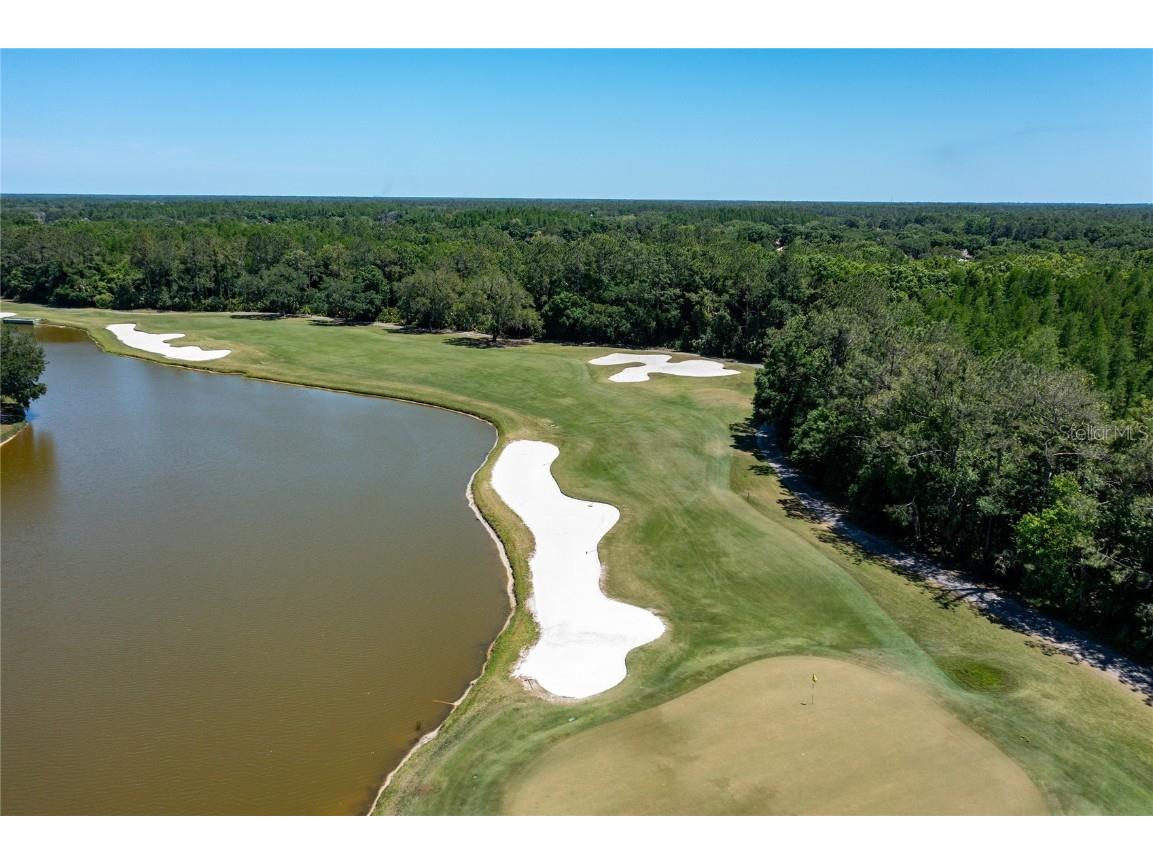 9117 Woodridge Run Drive Tampa FL 33647 TB8421554 image77